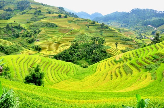 THANH HOÁ – SƠN LA – ĐIỆN BIÊN – MAI CHÂU – THANH HÓA