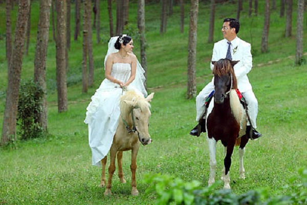 TOUR TRĂNG MẬT ĐÀ LẠT – THÀNH PHỐ TÌNH YÊU