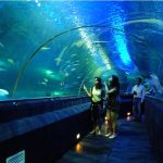 TRẢI NGHIỆM VỀ NGUỒN LĂNG BÁC- TIME CITY
