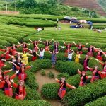 CHƯƠNG TRÌNH DU LỊCH 2020 THANH HÓA – MỘC CHÂU- THANH HÓA