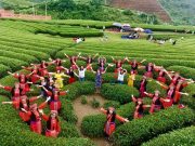 CHƯƠNG TRÌNH DU LỊCH 2020 THANH HÓA – MỘC CHÂU- THANH HÓA